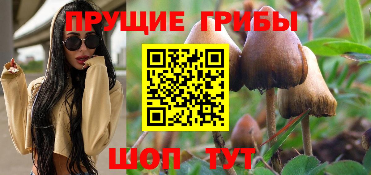 Галлюциногенные грибы мицелий  Вход с VPN  Торжок 